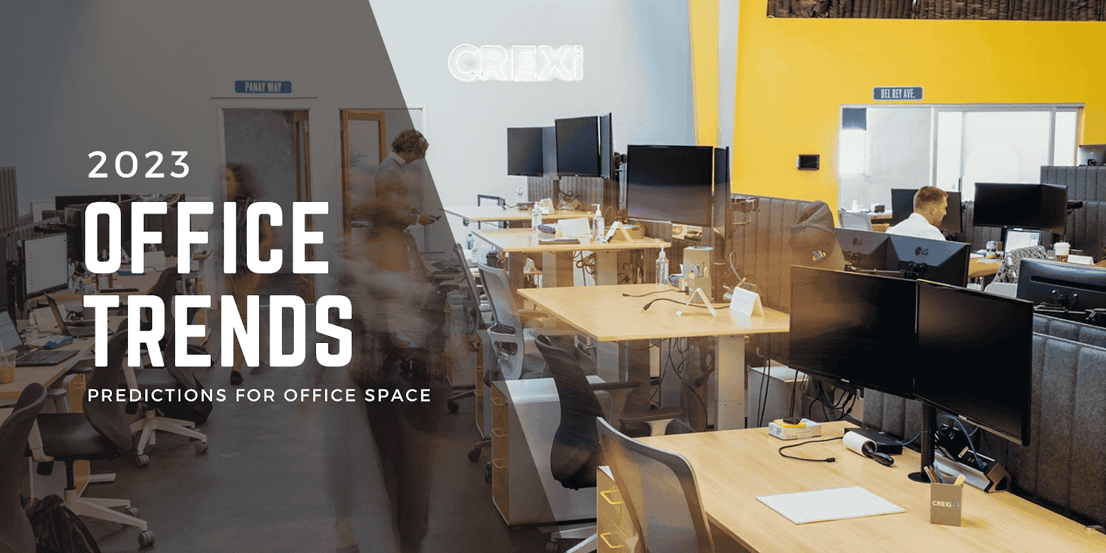 Office Leasing: Trends and Predictions for Office Spaces in 2023