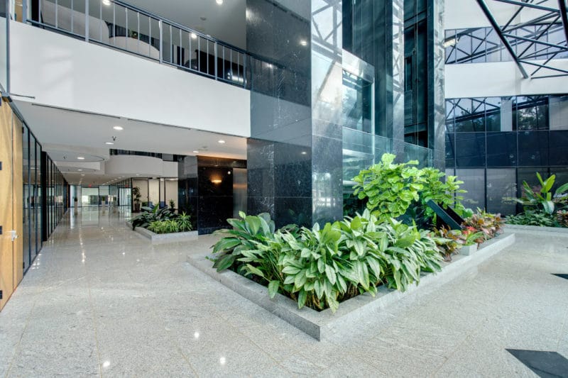 Ashford Crossing II Houston Commercial Leasing Silver Star