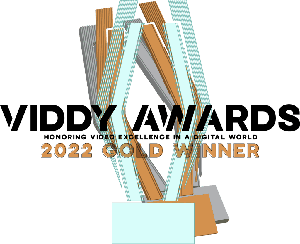 Viddy awards gold winner